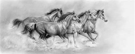 Pencil Running Wild Pictures | Horse art drawing, Horse running drawing ...