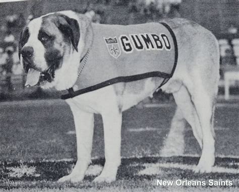 New Orleans Saints mascots have always put a smile on fans' faces