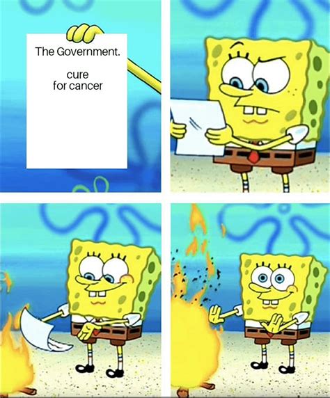 'SpongeBob did it, : r/memes