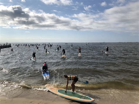 Become A Member of Save The Great South Bay | Save The Great South Bay