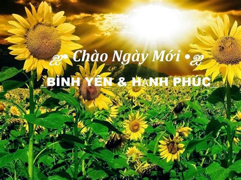 lovesake: Hình ảnh chào ngày mới, hình ảnh chào buổi sáng đẹp