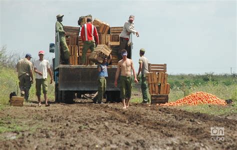 La escuela al campo - OnCubaNews