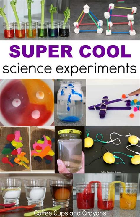 Fun Science Experiments With Simple Home Materials - Fun Guest