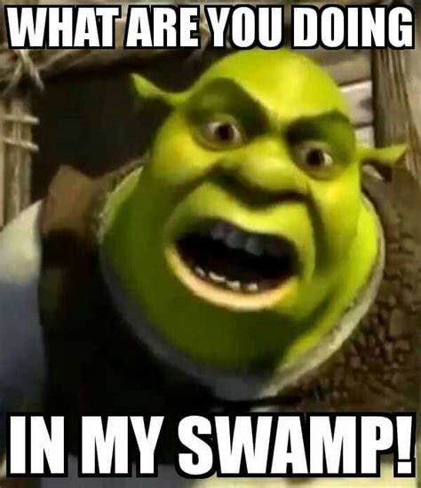 Shrek in swamp | Shrek, Shrek quotes, Classic cartoon characters