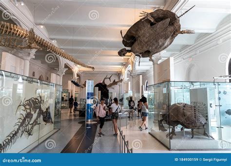 American Museum of Natural History Editorial Stock Image - Image of ...