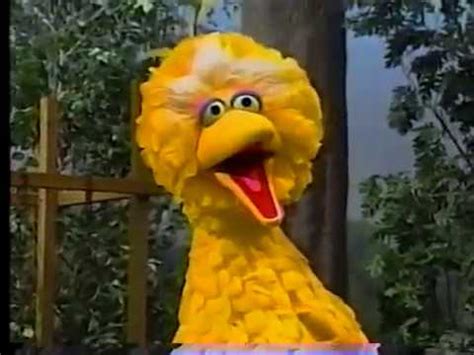 Sesame Street Big Bird Topic mp4 3gp flv mp3 video indir