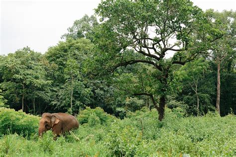 Why Visit Mondulkiri | Cambodia | Experience Travel Group