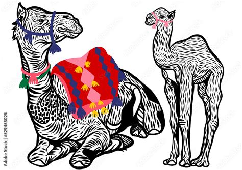 Black and white drawing of a camel with baby camel Stock Illustration ...