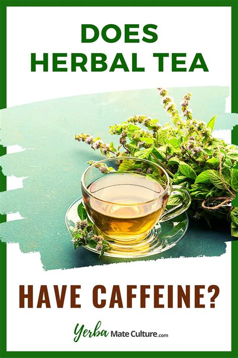 Does Herbal Tea Have Caffeine? Not All Are Caffeine-Free!