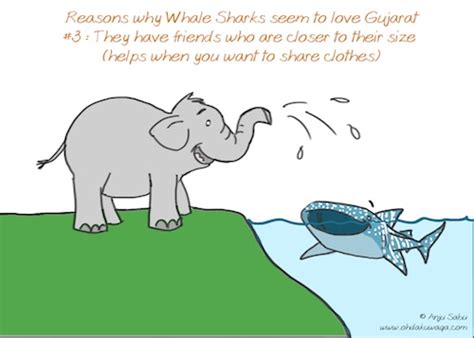 "Oh, Dakuwaqa!" - The Shark comics and cartoons: International Whale Shark Day!