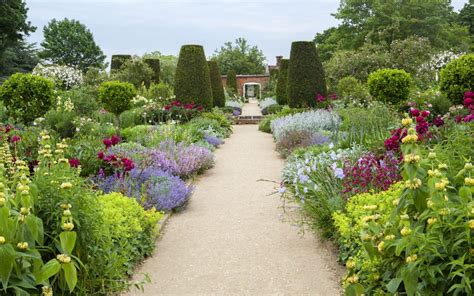 Plant Border