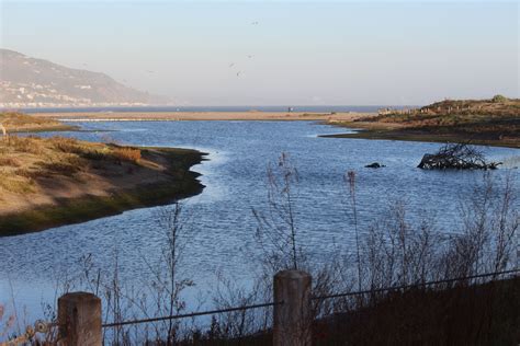 Malibu Lagoon State Beach Malibu CA | Natural landmarks, Malibu, Lagoon