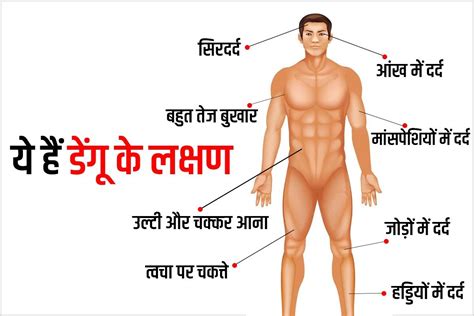 डेंगू (Dengue) के लक्षण, कारण और इलाज के साथ ही जानिए बचाव के उपाय भी