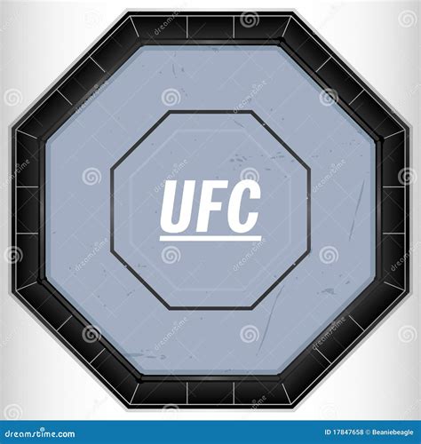 Ufc Octagon Top View