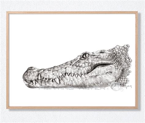 Crocodile, Alligator, Animal Art, Realistic Drawing Pencil ...