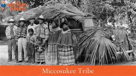 Miccosukee Tribe Facts and History - The History Junkie