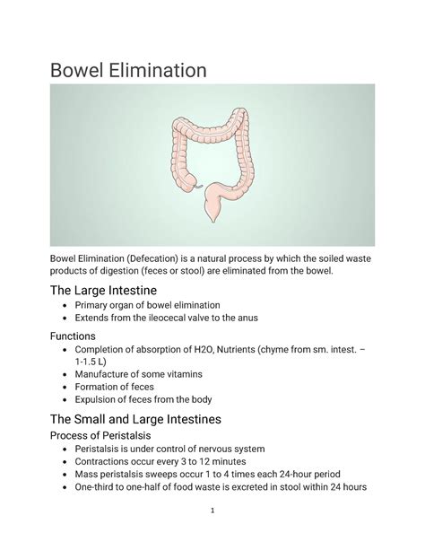 Bowel Elimination - Bowel Elimination Bowel Elimination (Defecation) is a natural process by ...