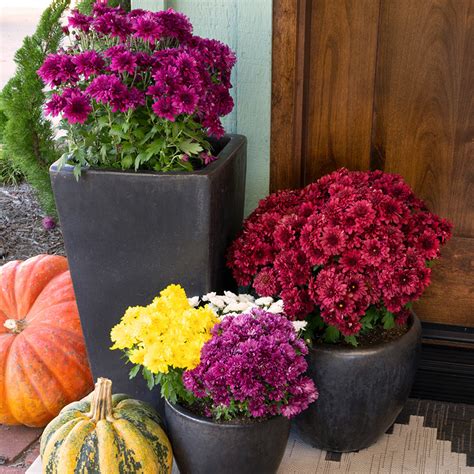 Transform Your Garden with Seasonal Flair: 20 Tips and Tricks for Year ...