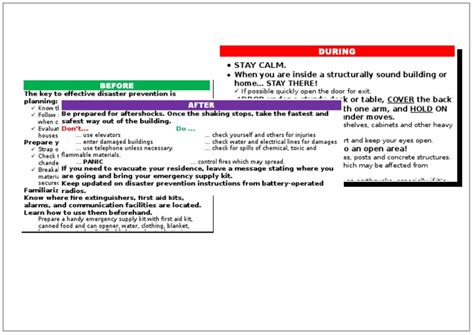 Earthquake Preparedness Guide: What To Do Before, During, and After An Earthquake | PDF