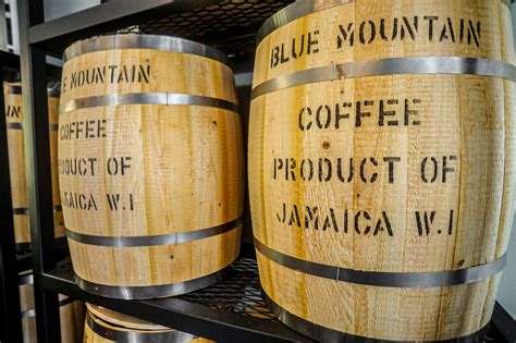 Blue Mountain Coffee: Best Jamaican Coffee Guide | Beaches