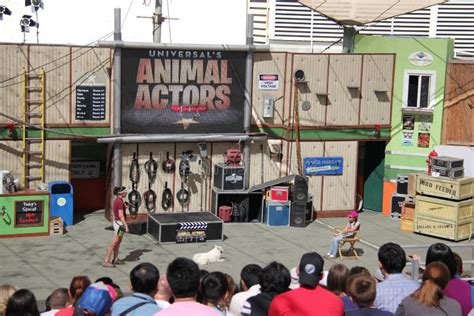 Animal Show at Universal Studios Hollywood Editorial Image - Image of ...