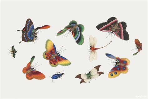 Chinese butterfly and insect painting from the Qing Dynast… | Flickr