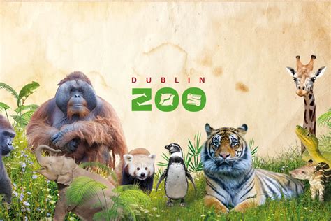 Dublin Zoo announces the arrival of new species | Goss.ie