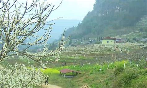 Bac Hà District: A Distinctive Cultural and Historical Tourist Destination in Lào Cai Province ...