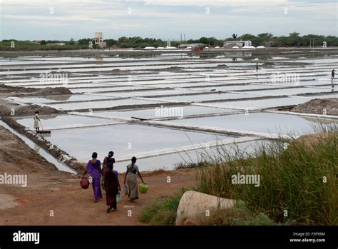 Salt pans at Thuthukudi Tuticorin ; Tamil Nadu ; India Stock Photo - Alamy