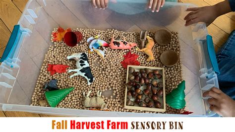 Fall Harvest Farm Sensory Bin - Happy Toddler Playtime