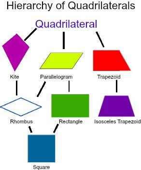 What is the Hierarchy of Quadrilaterals? - Video & Lesson Transcript | Study.com