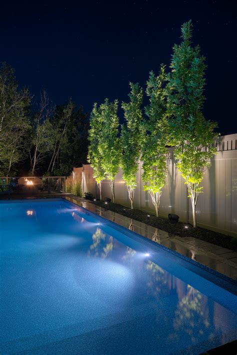 20+30+ Landscape Lighting Around Pool