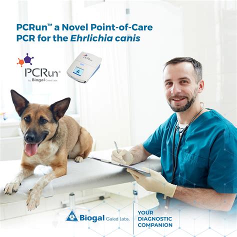 PCRun a Novel Point-of-Care PCR for the Ehrlichia canis | Biogal Labs