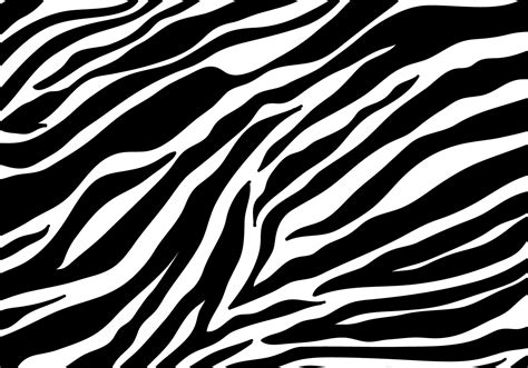 Zebra Print Background Vector - Download Free Vector Art, Stock Graphics & Images