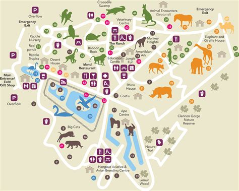 Paignton Zoo Park Map