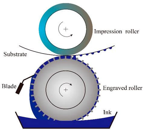 23: Rotogravure Printing Process Steps