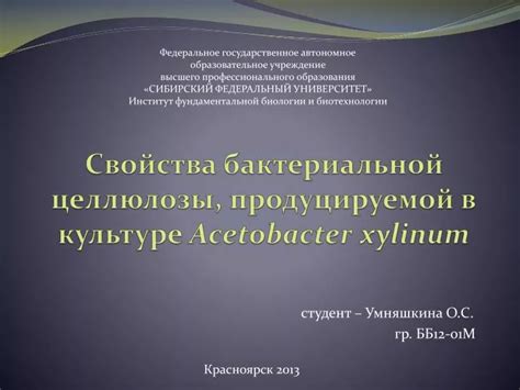 PPT - Свойства бактериальной целлюлозы, продуцируемой в культуре Acetobacter xylinum PowerPoint ...