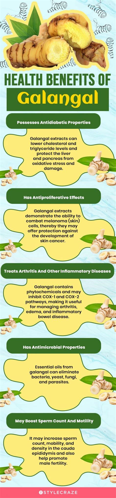 Galangal: Benefits, Side Effects, Composition, And How To Use