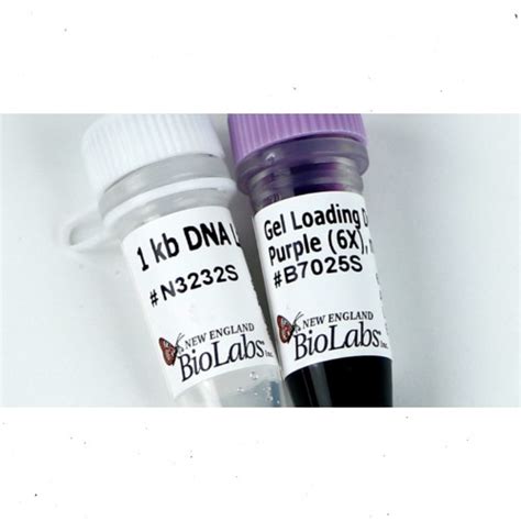 1 kb DNA Ladder, NEB | 1Malaysia Bio Lab