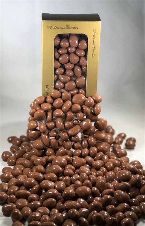 Chocolate Covered Raisins - 10oz - Anderson's Candies - Fundraising