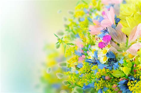 Bright Flowers Wallpapers - Wallpaper Cave