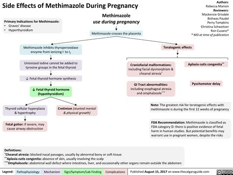 Side Effects of Methimazole During Pregnancy | Calgary Guide