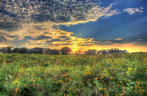 Sunset on the Prairie at Chain O Lakes State Park, Illinois image - Free stock photo - Public ...