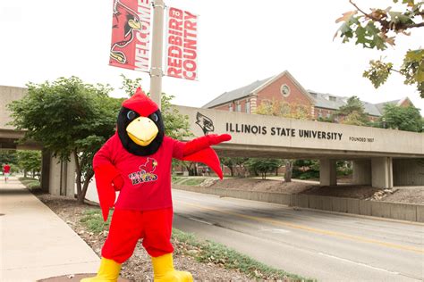 How to decorate for Homecoming: Redbirds in Flight workspace decorating ...