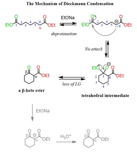 Schmuck rechtfertigen Ausschreiben condensation reaction mechanism ...