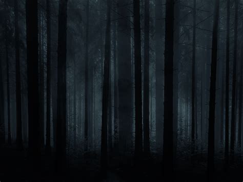 Horror Forest Background For Photoshop (Nature-Grass-And-Foliage) | Textures for Photoshop