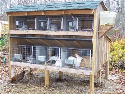 Pin on Diy Rabbit Hutch Indoor