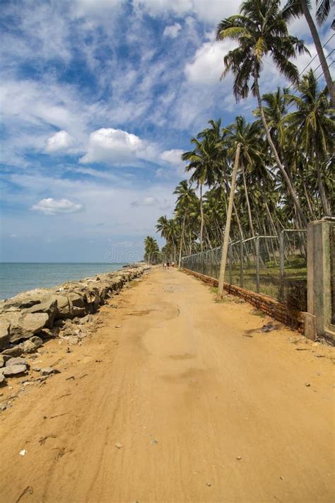 Negombo beach at Sri Lanka stock image. Image of ceylon - 59043963