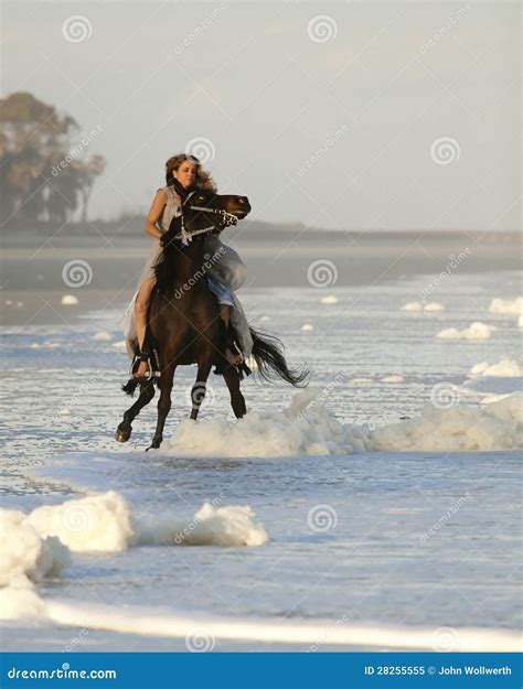 Woman Riding Wild Horse on Beach Stock Image - Image of girl, buck ...