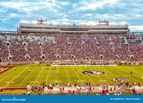 Florida State Seminole Football Editorial Image - Image: 43488790